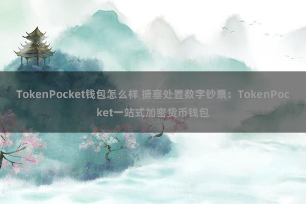 TokenPocket钱包怎么样 搪塞处置数字钞票：TokenPocket一站式加密货币钱包