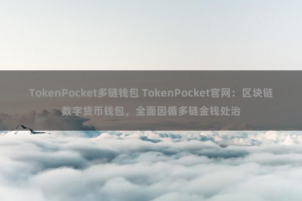 TokenPocket多链钱包 TokenPocket官网：区块链数字货币钱包，全面因循多链金钱处治