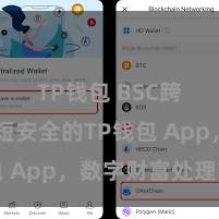 TP钱包 BSC跨链 简短安全的TP钱包 App，数字财富处理首选